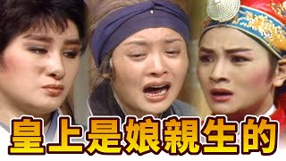 【經典歌仔戲】皇帝喜迎生母回宮 一片孝心感動天 賜太后重見光明｜楊麗花歌仔戲｜狸貓換太子(1984)