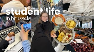 studying in belgium vlog