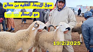 مباشرة من سوق الأربعاء الفقيه بن صالح الحولي والحولية والنعجة 19/2/2025 مع الأمطار الخير 🌧️🌧️🐑🐏