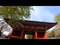 破壊か変容か　神か仏か　廃仏毀釈　府中　金比羅神社　100年前の日本人の写真　the japan you don t know. the age of abandoned buddhism