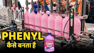 How PHENYL is Made in Factory | In Facts Official