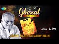 jagah nahin ab dairy mein gulzar nazm in his own voice