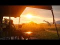 Botswana's Luxurious Safari Camps In The Middle Of Nature | World Class Compilation