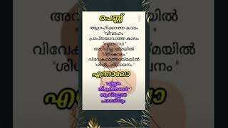 പെണ്ണ്- എല്ലാം തികഞ്ഞവൾ #subscribe #motivationalquotes #motivation #success #mallufoodblogger