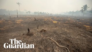 Drone footage reveals aftermath of Amazon fires