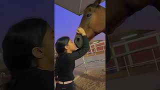 Little girl kiss and love horse