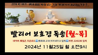 깨달음의 일곱 요인 경 보호경 독송 _  2024.11.25.월.오전9시.