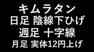 キムラタン 株価31円 日足陰線下ひげ 週足十字線 月足12円実体上げ