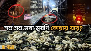 মরা মুরগি বিক্রি হচ্ছে হোটেল-রেস্তোরাঁয়! | Dead Chicken Business | Ekhon TV