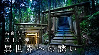 【Trip to Nara】立里荒神社｜4K｜奈良｜Taterikou Shrine｜異世界