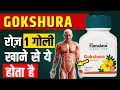 HIMALAYA GOKSHURA खाने के फायदे और नुकसान | Himalaya Gokshura Benefits in Hindi #gokshura