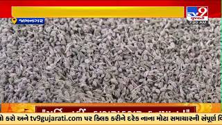 Analysis of situation of the Farmers involved in Ajma farming in Jamnagar | TV9News