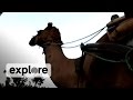 Traveling by Camel