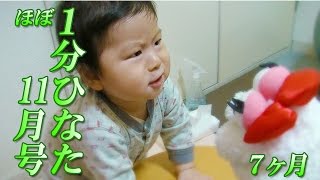 赤ちゃん成長動画：ほぼ1分ひなた11月号【ひなた0歳7カ月】