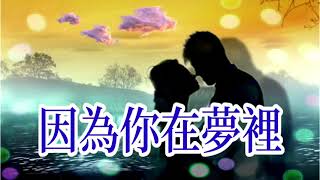 🎼💓 [ 因為你在夢裡 ] 💓🎼   演唱 : 張津滌  ( 原創視頻-K.L.Phuah)