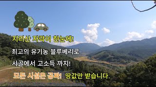 지리산 자락이 한눈에! 최고의 유기농 블루베리로 시골에서 고소득 까지! 모든 시설은 공짜! 땅값만 받습니다.