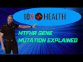 Unlocking the Mystery: Understanding the MTFHR Gene Mutation with Gary Brecka