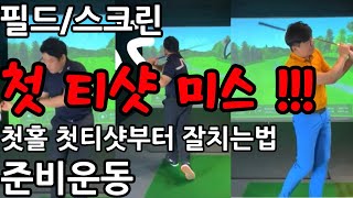 [골프레슨]첫홀 첫티샷 미스없이 잘치는방법.준비운동. 첫홀부터 굿샷치고 나가자!#골프레슨