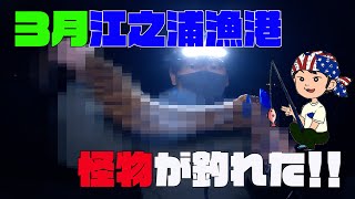 【江之浦漁港】大物を狙いに行ったらとんでもないのが釣れた！【釣り】【東扇島西公園】【ウツボ】