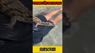 मगरमच्छ और छोटा बच्चा #crocodile #मगरमच्छ #shorts #youtubeshorts #trending #swetalucky2.0 #viral