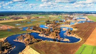 Rozlane meandry rzeki Gwdy - Piła, Byszki, Ujście