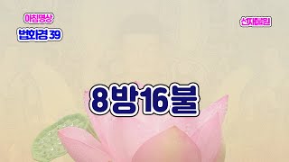 1188_법화경 40_ 화성유품 06_8방 16부처님_천기 054