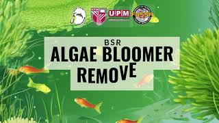 BioINNOVATE Commercial Product for BIOCHALLENGE 7.0 2023/2024 (BSR-ALGAE BLOOMER REMOVER)