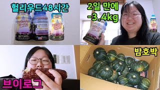 [협찬] 구황작물 Vlog｜헐리우드48시간 후기 2일 만에 -3.4kg｜고도비만 다이어트｜밤호박