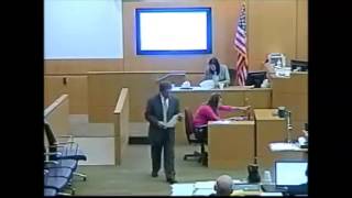 Jodi Arias Penalty Retrial : Day 30 : State Rebuttal : Dr. Janeen DeMarte