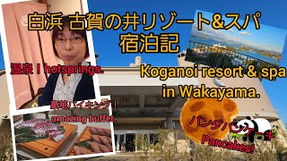 白浜 古賀の井リゾート\u0026スパ宿泊記Vlog. #shirahama Koganoi Resort \u0026 Spa hotel in Wakayama.