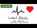 How to Find PQRST Waves in an EKG with Python and NeuroKit (Intermediate)