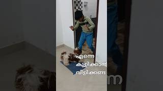 കുളിക്കാൻ എന്നെ വിളിക്കരുത് 🐕🐕😡😡😡