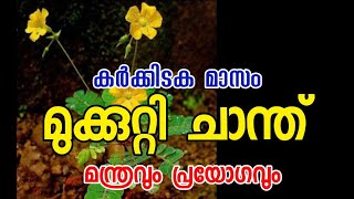 #മുക്കുറ്റി ചാന്ത്  കർക്കിടകമാസം മന്ത്ര പൂർവ്വം ഈ പ്രയോഗം ചെയ്താൽ വശ്യം,സൗന്ദര്യം, ധനം , യൗവ്വനം,ഫലം