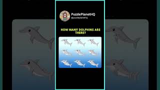 Crack The Code Follow Puzzleplanethq Visualchallenge Mindgames Insightful Explorepage