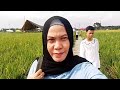 Yuk jalan-jalan sore ke wisata sawah Kakuta Binjai