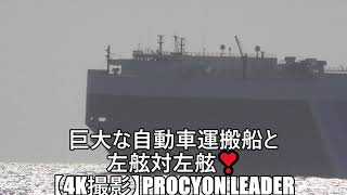 巨大な自動車運搬船と左舷対左舷❣【4K撮影】PROCYON LEADER