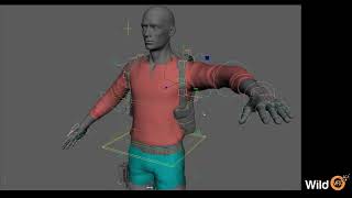 Biped / Male - Rig | Wild VFX