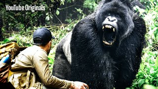 LARGEST Gorilla Found in Congo! | Brave Mission