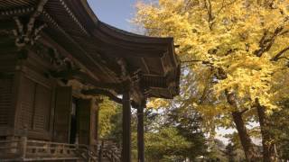 Discover Kamakura, Ancient and Modern