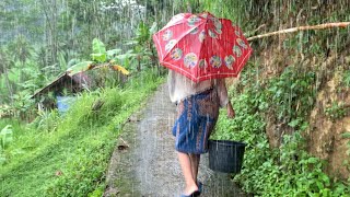 Wah.. Seenak Ini, Bikin Ketagihan Datang Ke Kampung Indah, Ketika Musim Hujan Di Pedesaan Jawa Barat