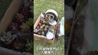 【ゴールデンウィークGW 6日目】植物日記 2023.5.4  PM5:00