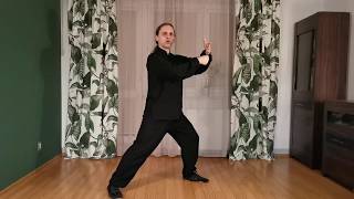 Bezpłatny kurs Yang Tai Chi dla początkujących - lekcja 5