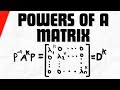 Powers of a Matrix with Diagonalization | Linear Algebra