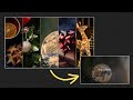 Responsive & Interactive Slider with Expanding Images | CSS & Vanilla Javascript