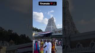 Tirumala Tirupati Temple #viralvideo #video #tirupati #ttdlive