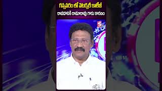 గన్నవరం లో వెటర్నరీ కాలేజ్ రావడానికి రామారావు గారు కారణం.#gadderamamohan #tdpparty #gannavaram #tdp