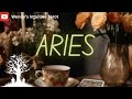 ARIES🤯END JUNE 2024🔥 I'M SORRY ARIES! *Extremely* High Profile Person Is Coming🧑‍✈️Though!😍Tarot