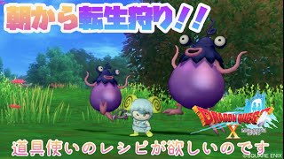 【ドラクエ10】朝から転生狩りまつり！！！！！【ライブ配信中】※ネタバレあり