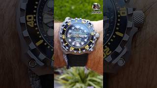 Reloj Pagani Desing Pd-YM009 para buceo Diver automático con movimiento NH35  Seiko