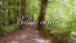 Balade en foret pour se relaxer. Sons des oiseaux et musique relaxante. Détente et anti-stress.